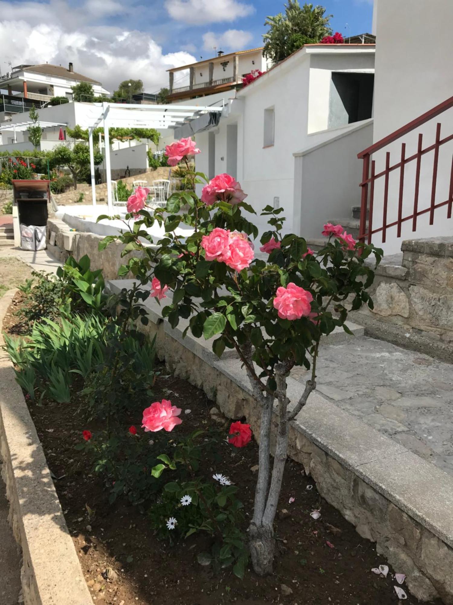 فيلا Campagne Luxueuse De Sitges Olivella المظهر الخارجي الصورة